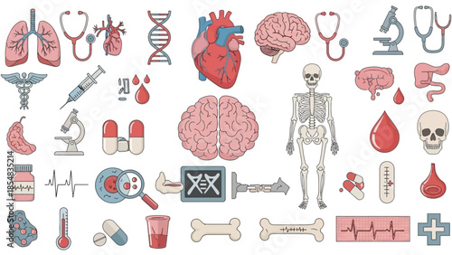 Medical and Anatomical Vector Icons Set with Human Organs and Tools