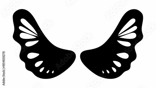 Stunning black butterfly wings on white background