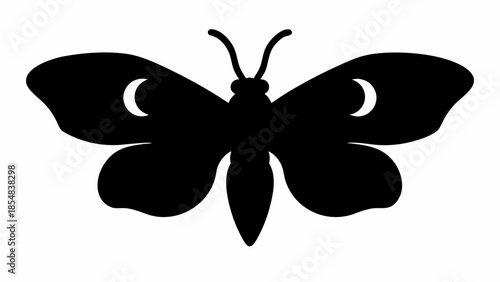 Black butterfly silhouette with crescent moon wings