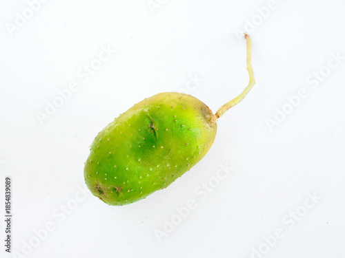 ソラニン・チャコニンの毒素で緑色に変色したじゃがいも