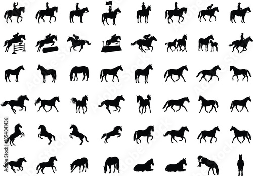 Horse silhouette vector collection showing riding jumping galloping walking standing poses isolated black equestrian animals illustration design wildlife sport
