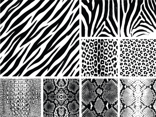 Animal skin pattern vector set featuring zebra leopard snake textures isolated black white seamless backgrounds fashion design collection print bundle