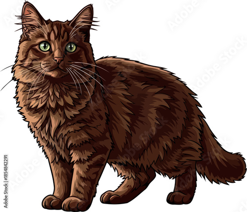 earthen spirit a majestic brown cats captivating stare and plush persona, vector isolated on transparent background