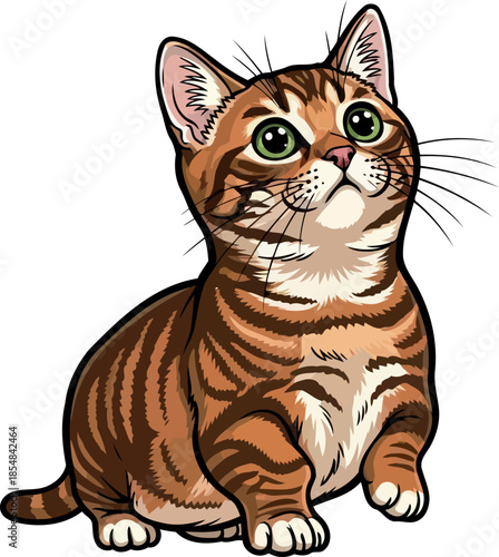 gaze of wonder a little tabbys bigeyed world exploration, vector isolated on transparent background