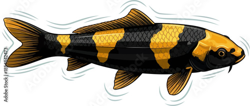 golden shadow swimmer a majestic koi embodying prosperity, endurance, and graceful power, vector isolated on transparent background