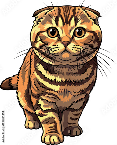 golden stripes, folded ears the irresistible allure of a beloved feline companion, vector isolated on transparent background