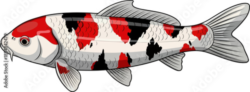 graceful water canvas iconic koi fish representing luck and resilience, vector isolated on transparent background