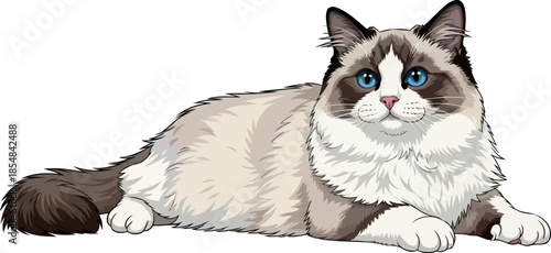 indigo dreamer the gentle majesty of a ragdolls soulful gaze, vector isolated on transparent background