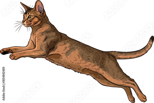 instinctive ascent agile felines graceful leap in dynamic illustration, vector isolated on transparent background