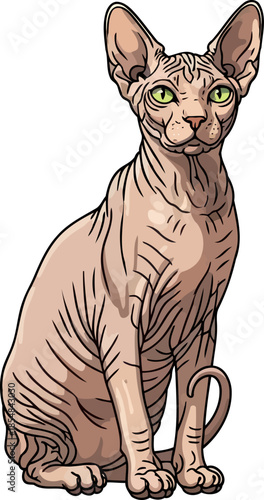 sculpted grace a majestic sphynx cat illustration, symbolizing unconventional beauty and calm, vector isolated on transparent background