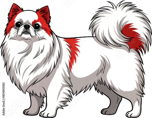 silk scarlet the aristocratic japanese chins majestic aura and playful soul, vector isolated on transparent background