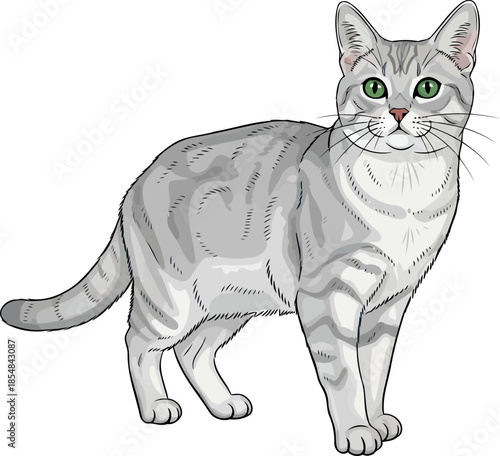 silver stream, jade gaze an elegant felines timeless charm and keen spirit, vector isolated on transparent background
