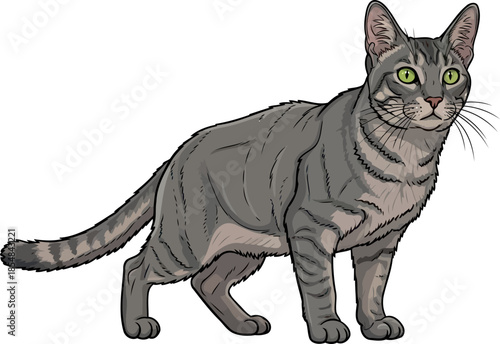 streetwise charm a striking tabby cats vigilant gaze in modern art, vector isolated on transparent background