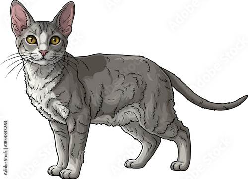 textured grace a distinctive felines curious gaze and sophisticated aura, vector isolated on transparent background