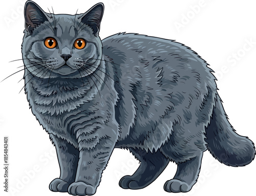 velvet shadow a british shorthairs piercing golden stare reveals quiet majesty, vector isolated on transparent background