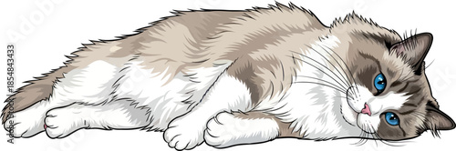 velvet whispers an enchanting felines tranquil allure, inviting connection, vector isolated on transparent background