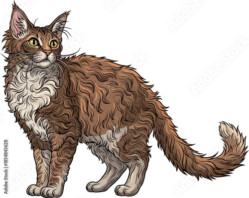 woven whispers the intricate beauty of a curlycoated cats gentle spirit, vector isolated on transparent background