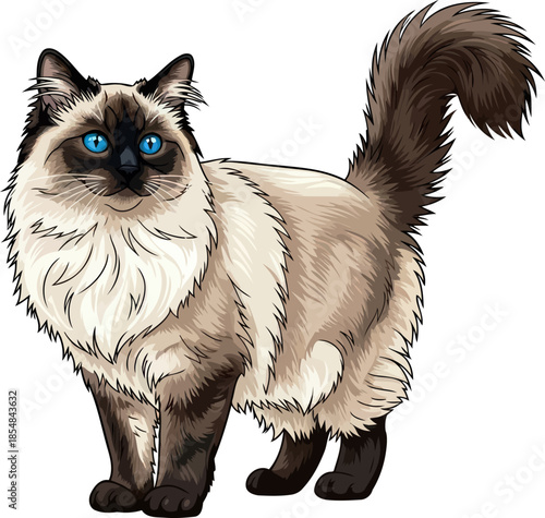 sapphire soul gaze a regal felines plush demeanor and calm presence, vector isolated on transparent background