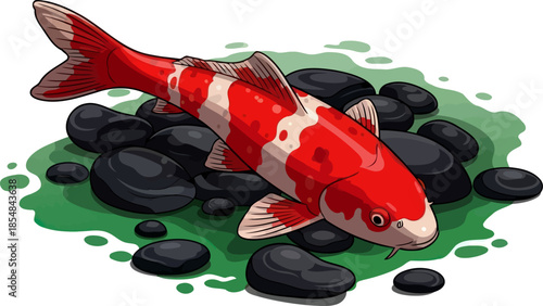 zen garden jewel a striking koi illustration capturing tranquility and vibrant life, vector isolated on transparent background
