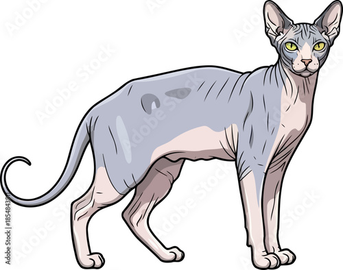 architectural feline the sphynx cats bold contours redefine modern elegance, vector isolated on transparent background