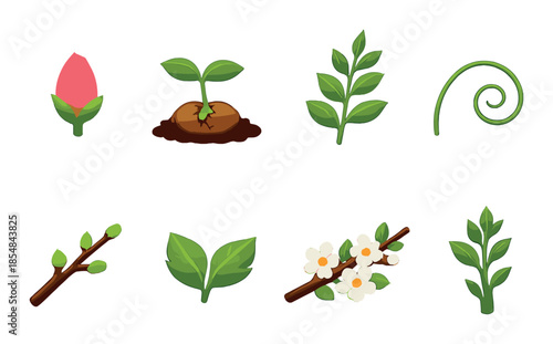 Colorful botanical growth stages and leaf patterns on green background