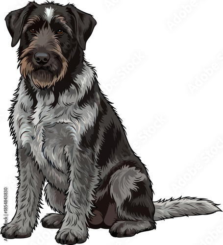 authentic spirit wirehaired dogs honest gaze, perfect for heartfelt storytelling, vector isolated on transparent background