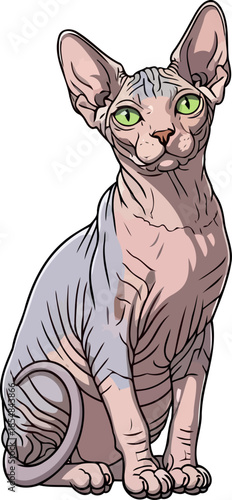 bare elegance a gaze of ancient wisdom and modern style, vector isolated on transparent background