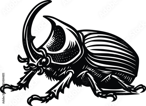rhinoceros beetle vector hand drawn illustration