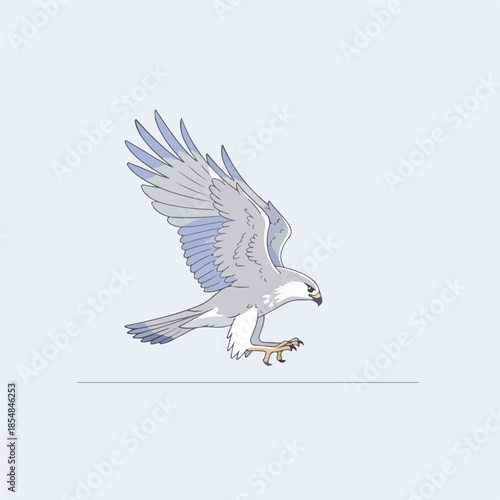 Osprey Bird Flying with Wings Extended Gracefully.