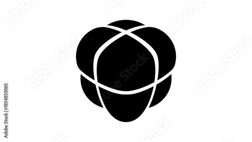 shockproof packaging symbol, black isolated silhouette