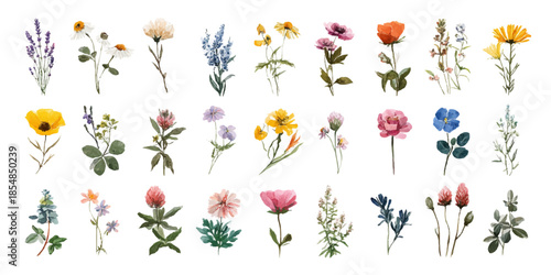 Vibrant watercolor floral arrangement with delicate blossoms and greenery on a white background