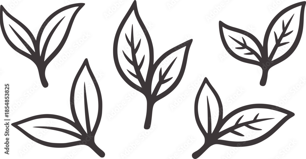Fototapeta premium Five minimalist black leaves outline white leaf
