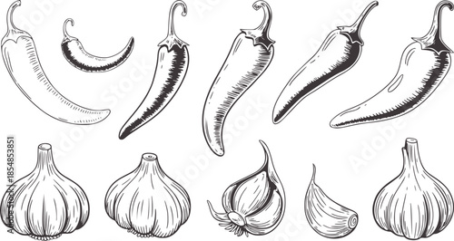 Hand drawn black and white chili peppers and garlic bulbs