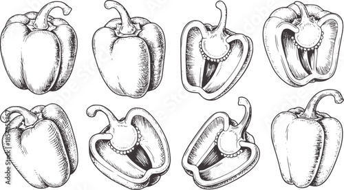 Hand drawn black and white bell peppers whole and halved