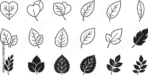 Set of various black leaf silhouettes isolated on transparent background design