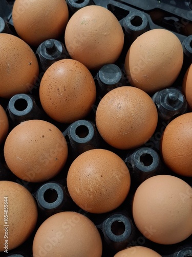 A high-angle view of many fresh brown chicken eggs neatly arranged in black plastic crates, ready for wholesale or retail at a market.
