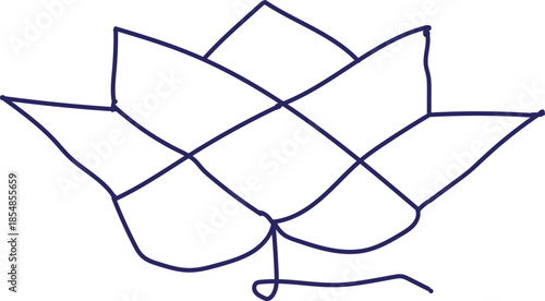 butterfly on a flower