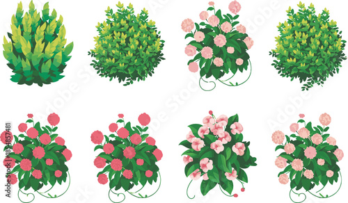 Cartoon bushes and flowering shrubs vector set, green foliage, pink blossoms, stylized garden plants, landscape design elements, spring botanical illustration clipart