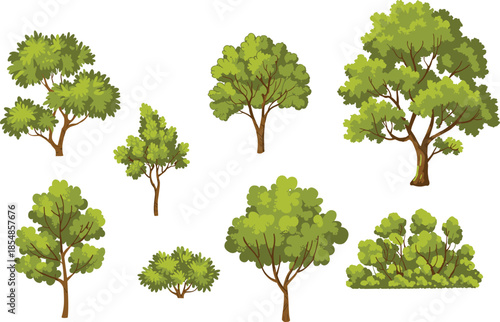 Cartoon green trees and shrubs vector set, leafy plants, vibrant foliage, stylized garden elements, spring botanical clipart, decorative landscape illustration assets