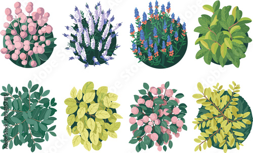 Cartoon plants and shrubs top view vector set, colorful blossoms, green foliage, stylized garden elements, spring botanical clipart, decorative landscape illustration
