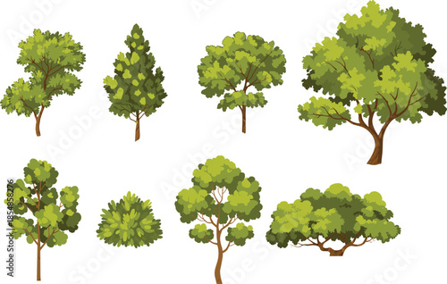 Cartoon trees and shrubs vector set, leafy plants, green foliage, stylized garden elements, spring botanical clipart, decorative landscape illustration, nature design assets