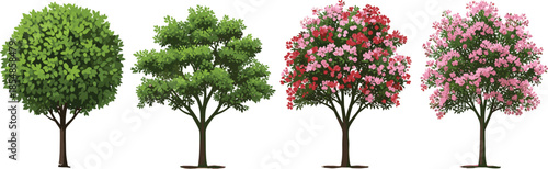 Flowering tree illustration set, diverse canopy styles, botanical vector design, seasonal foliage and blossoms, landscaping clipart, nature concept, garden trees