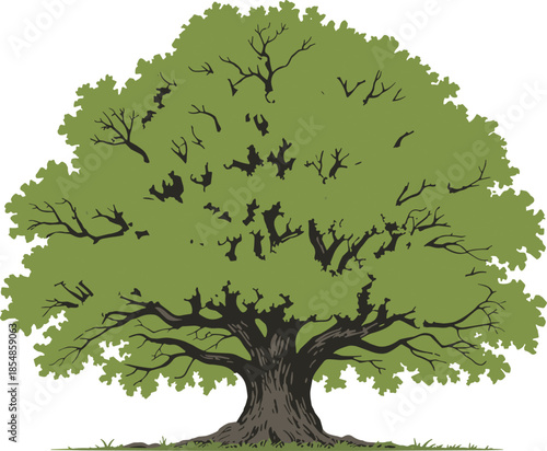 Realistic deciduous tree illustration, mature green foliage vector, nature design element, landscape clipart, botanical graphics, eco-friendly forest icon