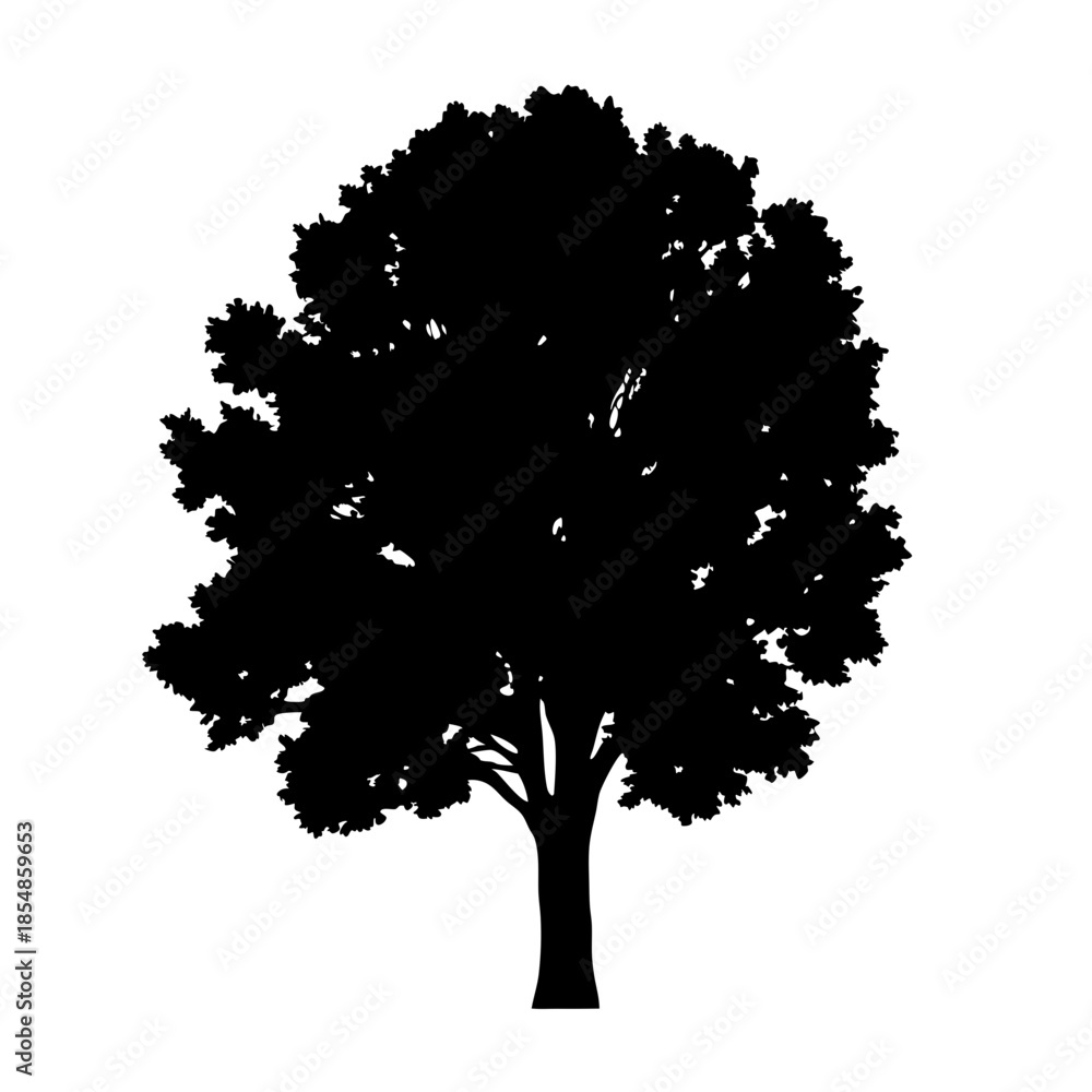 Fototapeta premium Download detailed black tree silhouette vector graphic for free nature and park design needs today