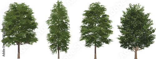 Stylized deciduous tree illustration set, diverse canopy shapes and foliage density, green vector collection, nature design elements, botanical graphics, landscape icons