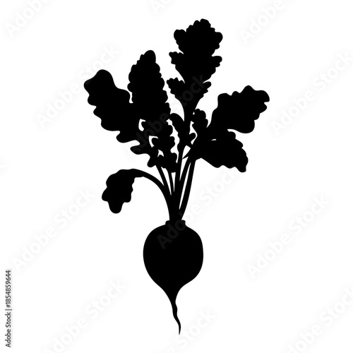 Black silhouette of beet root with leaves vector illustration for healthy food and gardening design