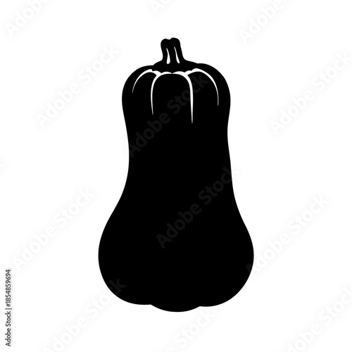 Butternut squash vector illustration for fall harvest season cooking and thanksgiving design element