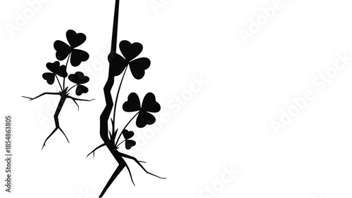 Delicate clover leaves with roots reaching out from a dark, cracked line against a white background, symbolizing growth and resilience.