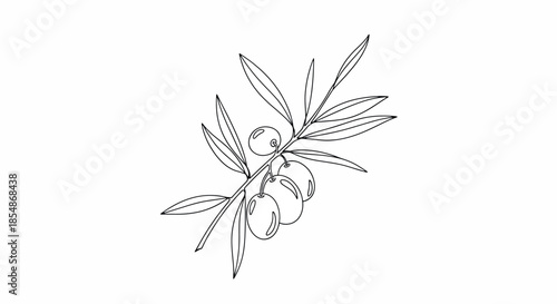 Wallpaper Mural Olive branch with leaves and fruits Torontodigital.ca