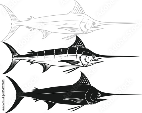 Three marlin fish swimming in different tones and shades of black and white
